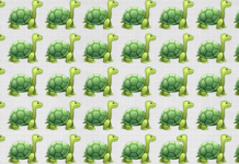 Há uma tartaruga distinta: você pode identificar facilmente? Que tal?