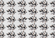 Parece tudo igual mas tem um diferente: Você pode ver a família de pinguins que diferem dos demais?