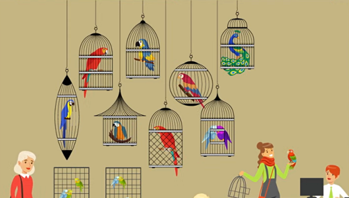 Resolva 4 quebra-cabeças: encontre pontos irracionais nas fotos.