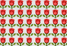 5 quebra-cabeças para lhe testar: Encontre as diferenças nas imagens com flores.