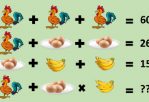 Resolva 5 Quebra-cabeças matemáticos: Só pessoas inteligentes saberão a resposta!