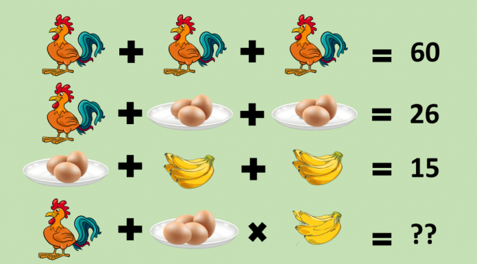 Resolva 5 Quebra-cabeças matemáticos: Só pessoas inteligentes saberão a resposta!