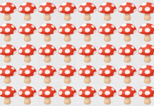 Você se acha um gênio? Cada quebra-cabeça abaixo possui 1 detalhe diferente dos demais. Descubra!