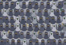 Você pode ver o gato em menos de 18s ? Então você é bom! Tem mais 2 testes! Resolva!