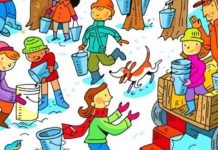 Tente passar neste teste visual: 📚Encontre os 12 objetos na imagem!