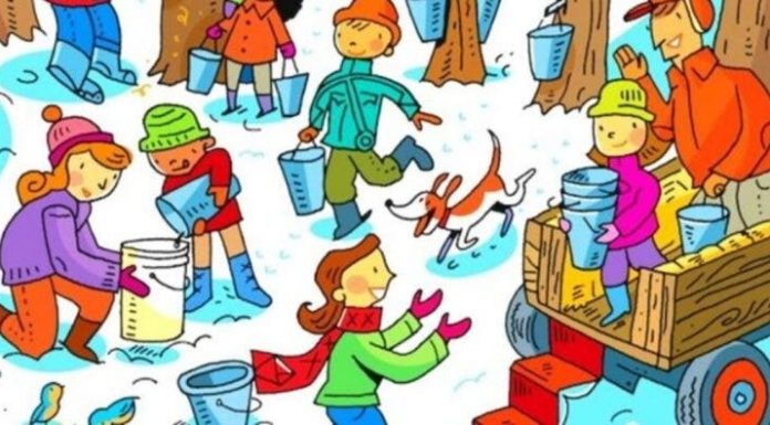 Tente passar neste teste visual: 📚Encontre os 12 objetos na imagem!