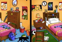 Você consegue encontrar as sete diferenças nas imagens da sala bagunçada?