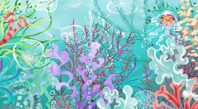 Teste a la Sherlock Holmes: Tente encontrar a água-viva sorridente.