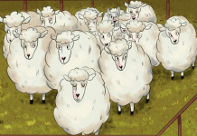 Desafio visual para ‘quebrar a cuca’: você consegue localizar o intruso entre as ovelhas?