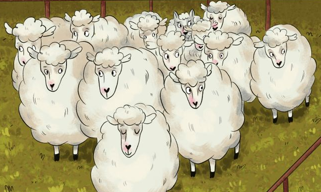 Desafio visual para ‘quebrar a cuca’: você consegue localizar o intruso entre as ovelhas?