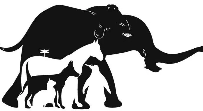 Quebra-cabeça: quantos animais se escondem na foto?