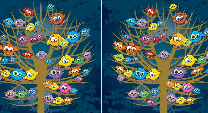 15 imagens em que apenas um Sherlock Holmes pode encontrar as diferenças.