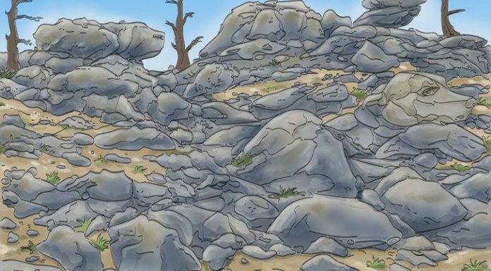 Testes: Exercite sua mente encontrando as formas e silhuetas camufladas nas imagens