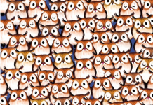 Desafio visual: Entre estas fofas corujinhas há um fofo intruso. Encontre-o!