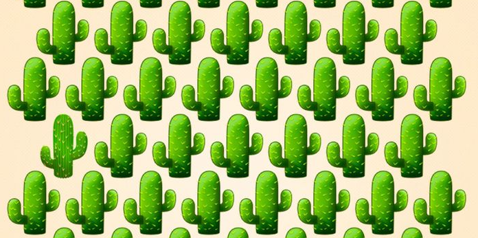 10 enigmas para desafiar toda a sua atenção. Encontre os intrusos nas imagens!