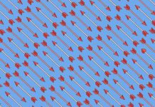 Desafio viral: Existem 2 setas com formato de coração na imagem e você precisa encontrá-las.