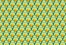 Encontre os abacates 🥑 sem caroço escondidos no desafio viral. Você tem menos de 15 segundos!