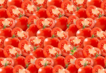 Teste: Em 5 segundos, encontre os 8 frutos perdidos nas imagens.