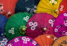 Teste: encontre o objeto oculto nessas 8 imagens e teste seus poderes de observação! Encontre a borboleta!