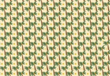 Desafio viral: você consegue encontrar 3 palmeiras diferentes das outras?