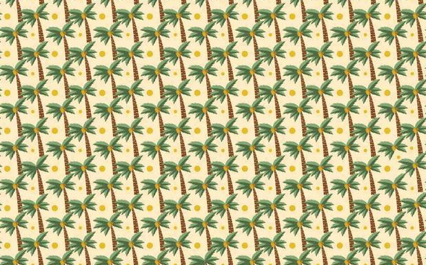 Desafio viral: você consegue encontrar 3 palmeiras diferentes das outras?