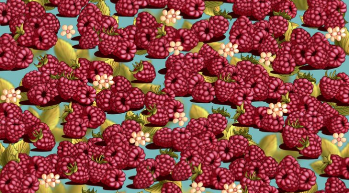 Encontre o morango na primeira imagem! Quão rápido você pode detectar objetos escondidos nas 9 imagens?