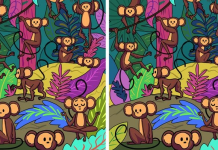 Teste sua atenção e encontre todas as diferenças! São nove fotos!