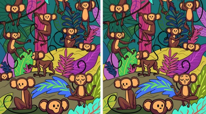 Teste sua atenção e encontre todas as diferenças! São nove fotos!