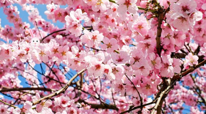 Encontre o coelho oculto e teste seus poderes de observação. Confira mais 6 imagens.