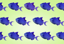 Teste: Você consegue identificar os peixes de outra cor? Pois então, são 8 imagens!