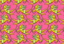 Viral: você pode localizar todos os cupidos sem flechas do desafio mental?