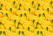 Encontre em 5 segundos os frutos perdidos nas 7 imagens. Estás pronto?