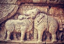 Um touro ou um elefante? Agora resolva o desafio viral em 10 segundos.