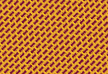 Desafio visual: encontre as 3 formigas que andam na direção oposta o mais rápido possível.