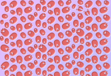 Teste: Encontre as pegadas escondidas do porco e de mais 10 animais em 11 imagens. Consegue em menos de 7 segundos?