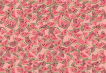 Desafio viral: você deve encontrar um tutu entre alguns pedaços de melancia em 15 segundos ou menos.