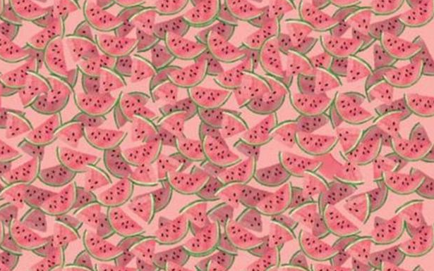 Desafio viral: você deve encontrar um tutu entre alguns pedaços de melancia em 15 segundos ou menos.