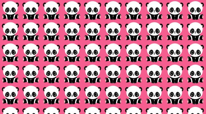 Encontre os erros nessas imagens que levam nosso cérebro a uma caminhada mental.