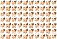 Teste de quebra de protocolo: Encontre em menos de 10 segundos a figura que está virada para o outro lado. São dez imagens!