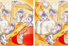 Mostre suas habilidades de observação encontrando as 3 diferenças nas imagens. São 8 imagens! Sucesso!