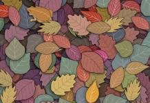 Faça em 10 segundos: encontre o sapo entre as folhas de outono no menor tempo possível .