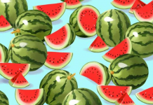 Em 10 segundos: encontre a joaninha escondida neste quebra-cabeça visual de melancias.