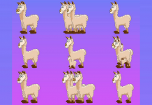 Desafie a sua visão e diga-nos quantos animais tem em cada imagem