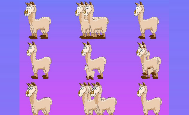 Desafie a sua visão e diga-nos quantos animais tem em cada imagem