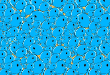 Verifique o quão atento você está procurando pelos infiltrados. Onde está a coruja na primeira imagem? Total 10 imagens!