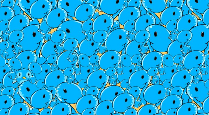 Verifique o quão atento você está procurando pelos infiltrados. Onde está a coruja na primeira imagem? Total 10 imagens!