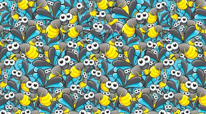 Teste: Verifique o quão atento você está procurando pelos infiltrados em 10 imagens. Encontre a formiga!