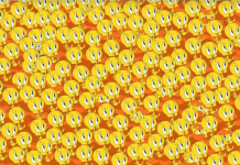 Em 10 segundos: encontre Bob Esponja no Mar de Piu-Piu neste quebra-cabeça visual.