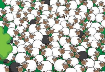 Quanto antes melhor: encontre a ovelha adormecida e o cachorro escondido neste quebra-cabeça visual.