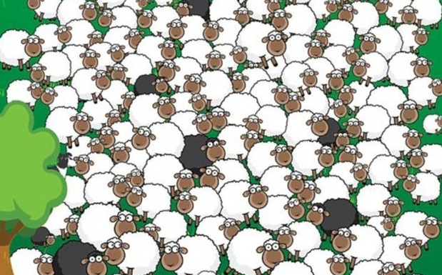 Quanto antes melhor: encontre a ovelha adormecida e o cachorro escondido neste quebra-cabeça visual.